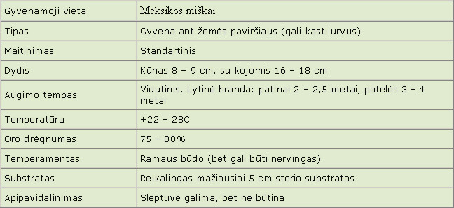 Brachypelma schroederi