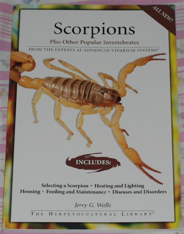 Scorpiones
