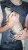 100_3199_t1.jpg