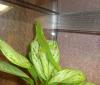 dsc0089777_t1.jpg