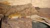 dsc06289_t1.jpg