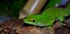 dsc_0672_t1.jpg