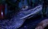 dsc_7849-2_t1.jpg