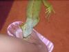 dscn3759_t1.jpg
