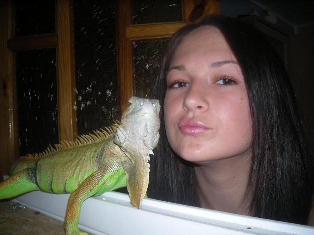 Iguana