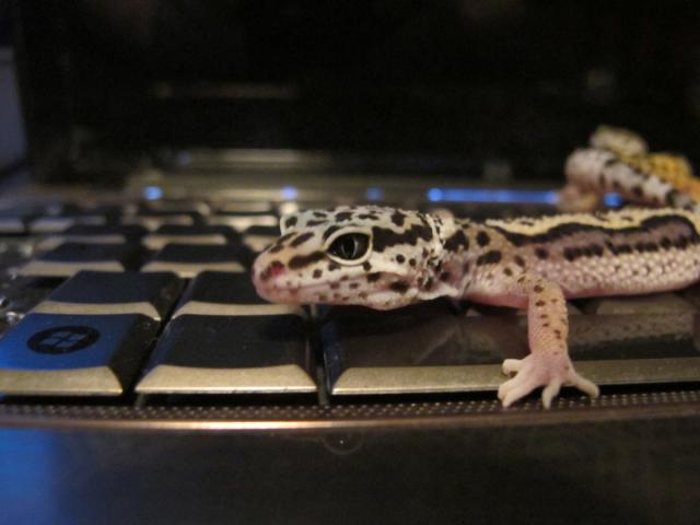 Lola nolaifina :D