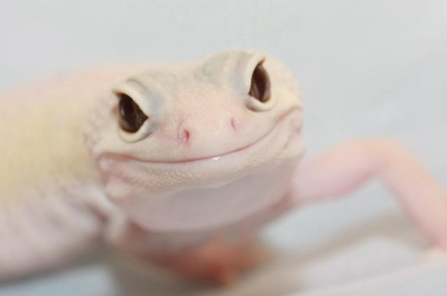 Smile