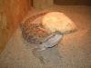 p2120002_t1.jpg