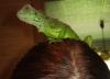 p8210296_t1.jpg