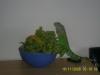 pic_0031_t1.jpg