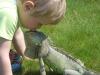 picture085_t1.jpg