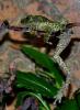 dsc_0691_t1.jpg