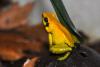 dsc_2680_t1.jpg