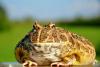 dsc_5507_t1.jpg