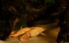 dsc_9671_t1.jpg