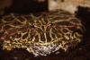 img_0010_t1.jpg