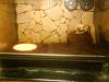 dsc00515_t1.jpg