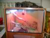 dsc03556_t1.jpg