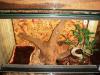 dsc05126_t1.jpg
