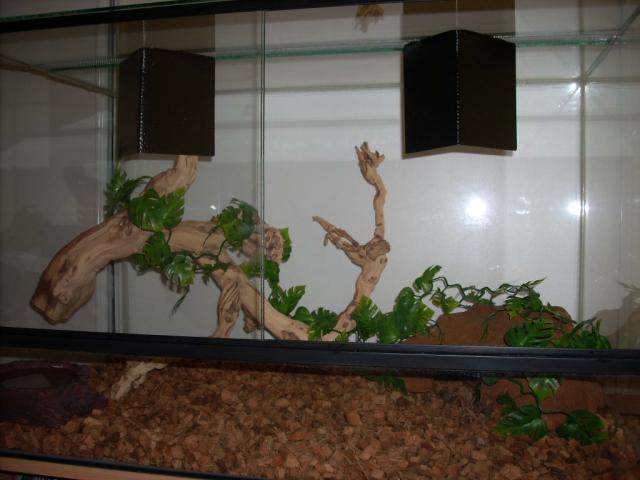 naujas teras