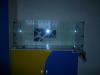 p1050526_t1.jpg