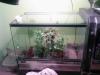 photo0161_t1.jpg