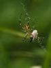 20080809-z8090731_t1.jpg