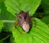 2008_0810_143124_t1.jpg