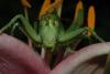 dsc_6865_t1.jpg