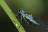 dsc_7244_t1.jpg