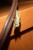 dscf5027-1_t1.jpg