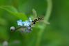foto_t1_1.jpg