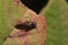 img_5570_t1.jpg