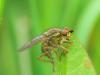 p1160451_t1.jpg