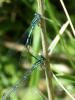 sn850567_t1.jpg