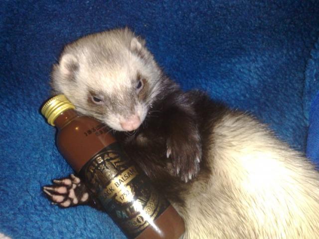 Chikita