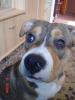 dsc01280_t1.jpg