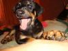 dsc0142_t1.jpg