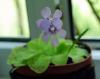 dsc_0191_t1.jpg