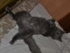 dsc_2434_t1.jpg