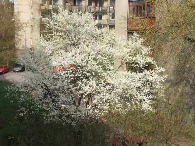Gamta bunda :)