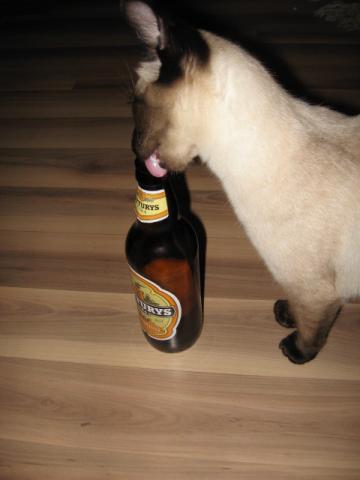 Siamo smagurė