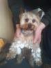 img_t1_1_2.jpg