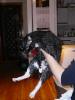 p1030287_t1.jpg