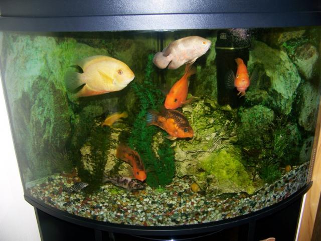 Akvariumas 200 l