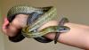 1-dsc_0110-001_t1.jpg