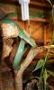 dsc06614_t1.jpg