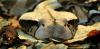 dsc_1916_t1.jpg
