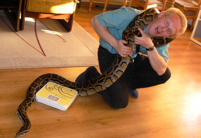 P. molurus