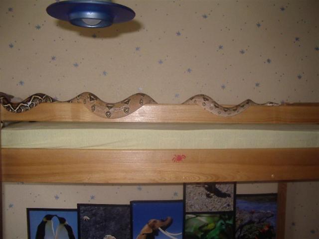 Didysis :)